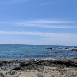 Meet your Posher, Darleen